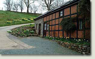 Barn Owl Cottage in March