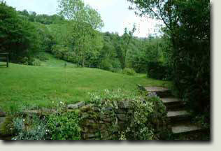 View from Barn Owl Patio